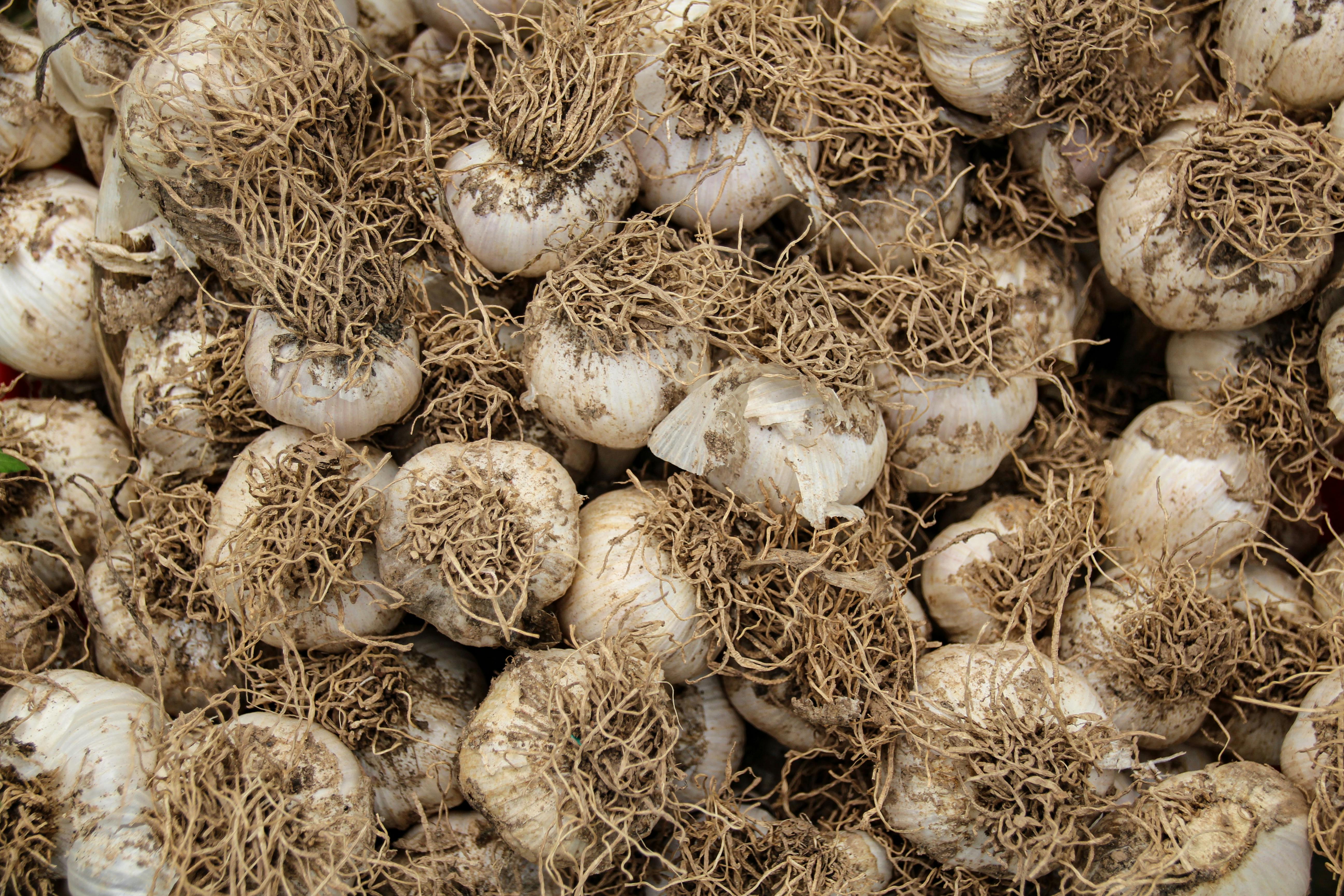 Effective Ways to Master Dutch Braiding in 2025 – Learn More Today!